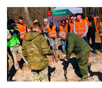 паркетная доска Киев купить высадка деревьев Barlinek